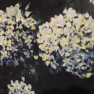 Beautiful Hydrangeas