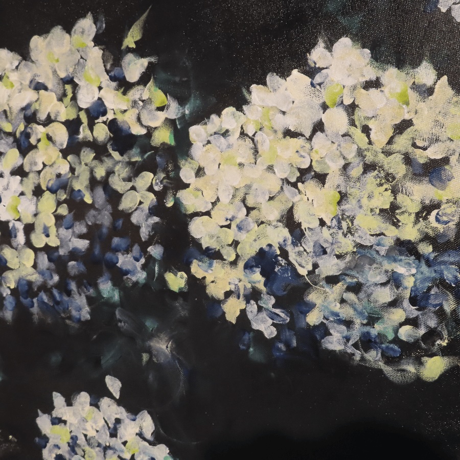 Beautiful Hydrangeas